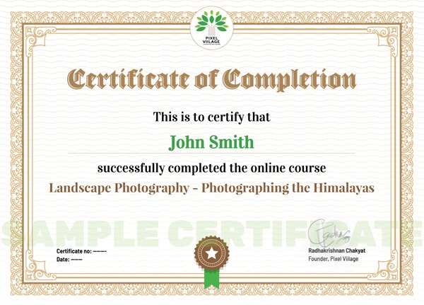 Pixel Viilage Sample Certificate