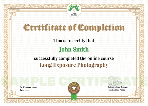 Pixel Viilage Sample Certificate