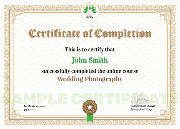 Pixel Viilage Sample Certificate