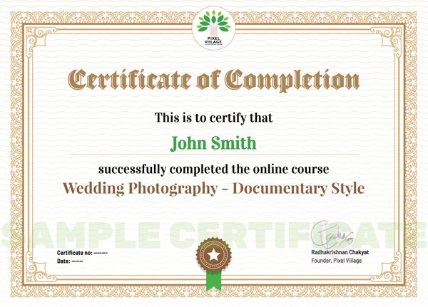 Pixel Viilage Sample Certificate