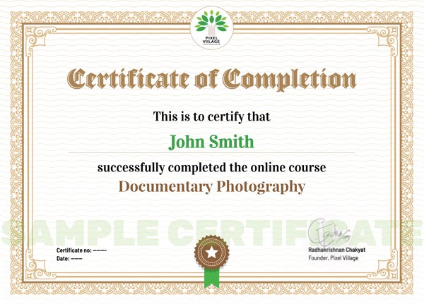 Pixel Viilage Sample Certificate